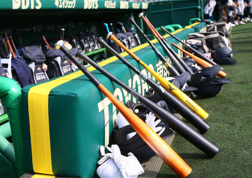 甲子園球場のベンチ前に並ぶ新基準の低反発バット（2024年3月13日撮影）