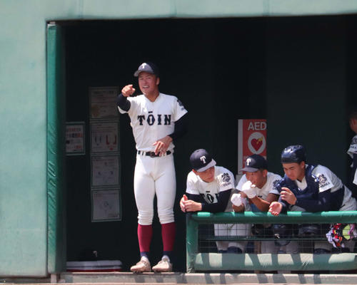 大阪桐蔭対大商大堺　この日、登板はなかったがベンチからグラウンドのナインを鼓舞した、背番号11の大阪桐蔭の中野（撮影・中島麗）