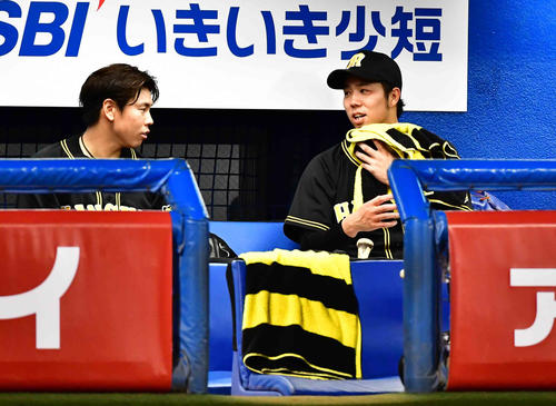 ヤクルト対阪神　7回の投球を終えた阪神先発の青柳は梅野（左）と談笑する（撮影・小沢裕）