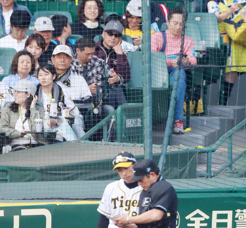 虎党渡辺謙も悔し３連敗 ミニキャンプ張った方が 虎だ虎だ虎になれ 野球コラム 日刊スポーツ