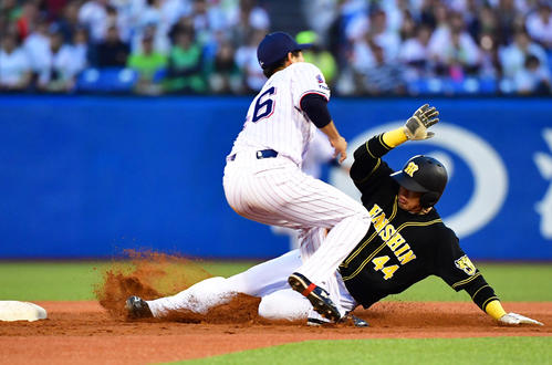 2回表阪神無死一塁、打者高山俊の時に二塁を狙うもアウトとなる梅野隆太郎（撮影・清水貴仁）