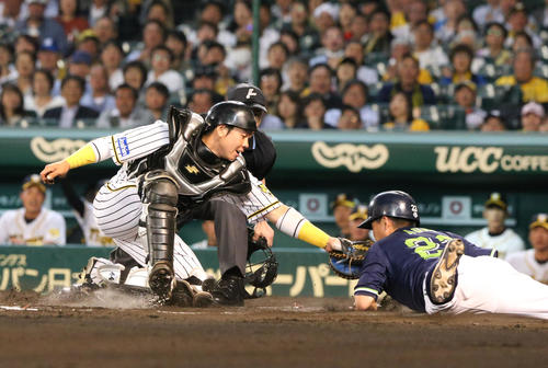 阪神対ヤクルト　6回表ヤクルト2死一、三塁、雄平の一ゴロで本塁をついた青木（右）はタッチアウト、捕手梅野（撮影・上山淳一）