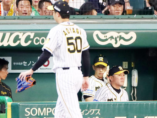 4回表広島1死一塁、打者アドゥワを迎えたところで降板する阪神先発の青柳（左）とベンチで電話する矢野監督（撮影・加藤哉）