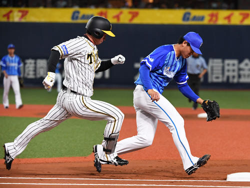 坪井智哉　バット 坪井氏不満、近本は外角を逆方向狙えれば3割打てる - 虎だ虎だ虎に