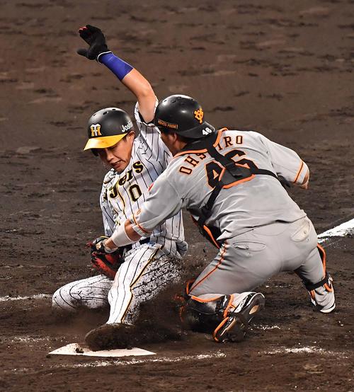 阪神対巨人　8回裏阪神2死一、二塁、木浪は糸原の左前打で生還を狙うも好返球で憤死する。捕手は大城（撮影・上田博志）