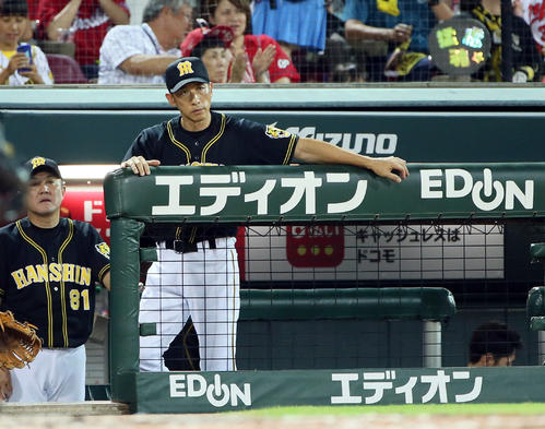 グラウンドを見つめる矢野監督（撮影・栗木一考）