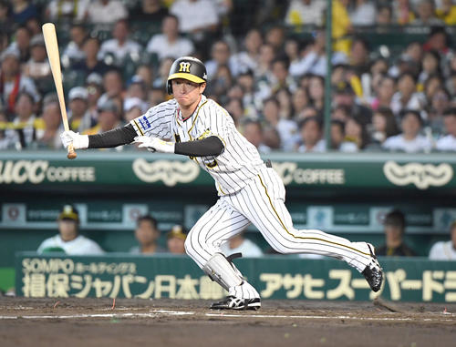 阪神対ヤクルト　6回裏阪神1死、近本光司は左前安打を放つ（撮影・奥田泰也）