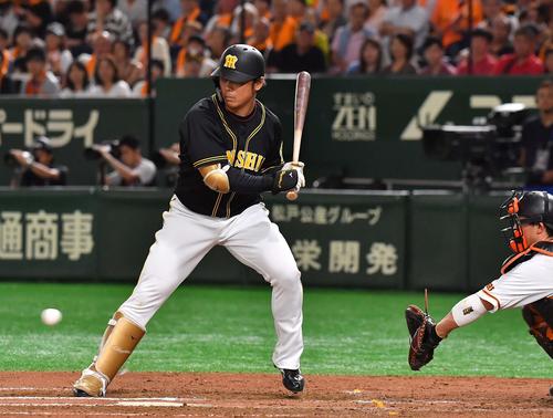 巨人対阪神　6回表阪神1死満塁、押し出し四球を選ぶ高山（撮影・上田博志）