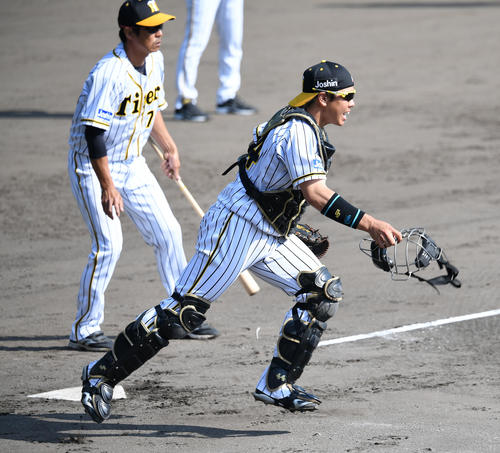 投内連係で軽快な動きを見せる梅野、午前11時11分（撮影・前岡正明）