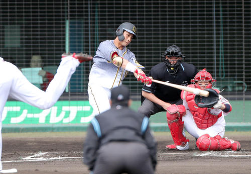 広島対阪神　2回表阪神無死一塁、二ゴロ併殺に倒れる木浪。投手大瀬良（撮影・前田充）