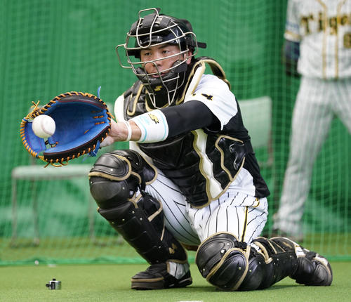 ブルペンで中田賢一の球を受ける梅野隆太郎（撮影・清水貴仁）
