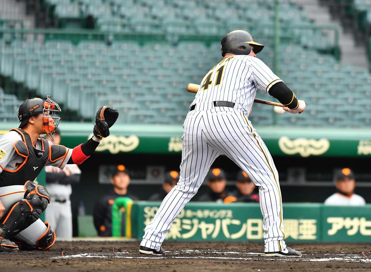 阪神対巨人　6回裏阪神無死、バントの構えを見せるボーア（撮影・上田博志）