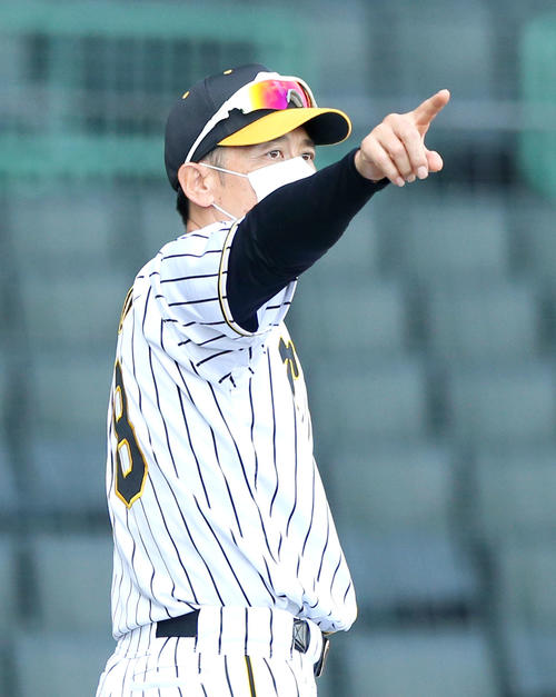6回表を前に交代を告げる矢野監督（撮影・上山淳一）