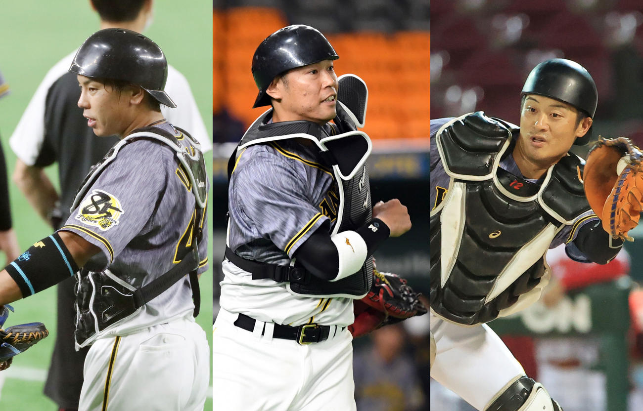 左から梅野隆太郎、原口文仁、坂本誠志郎