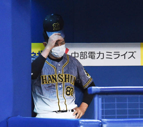 4回表、ベンチで帽子をかぶり直す矢野監督（撮影・森本幸一）