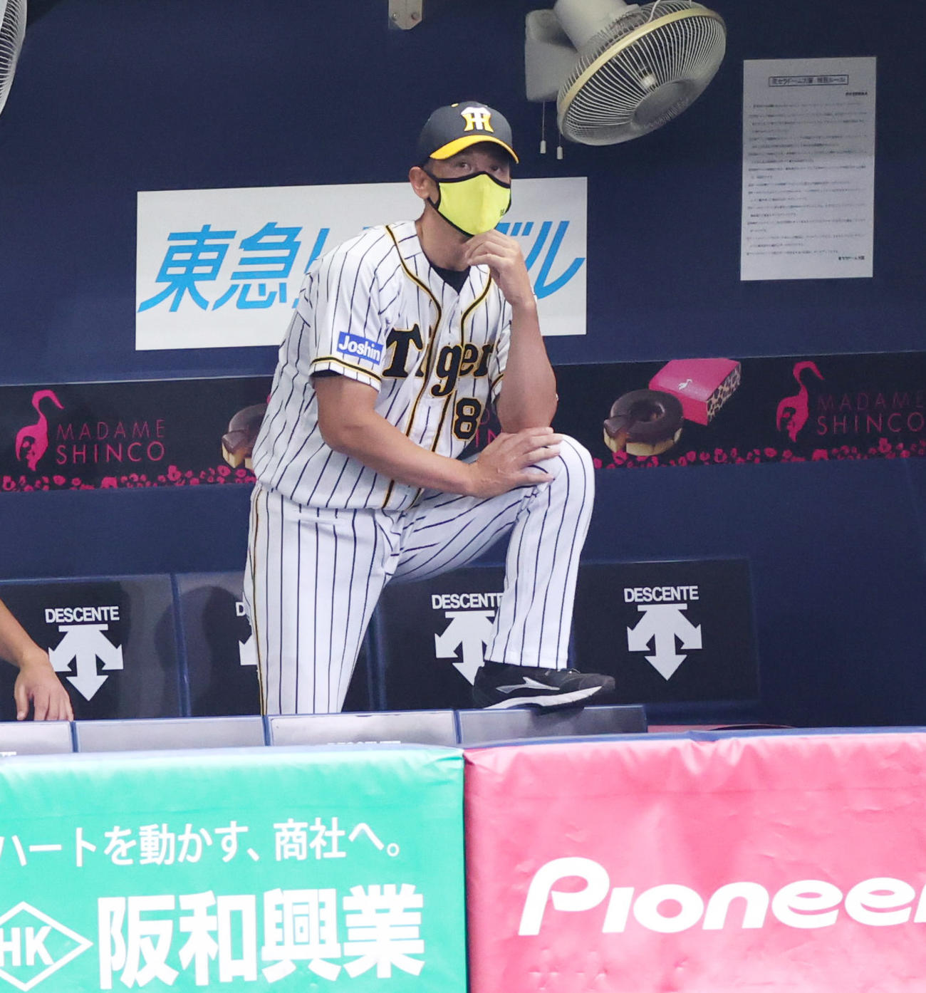 阪神対広島　7回、戦況をみる矢野監督（撮影・清水貴仁）