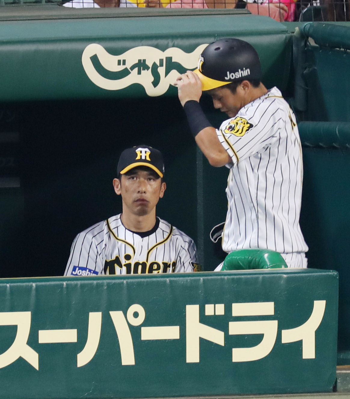 19年6月20日、楽天戦で代走を送られベンチへ戻る木浪（右）と厳しい表情の矢野監督