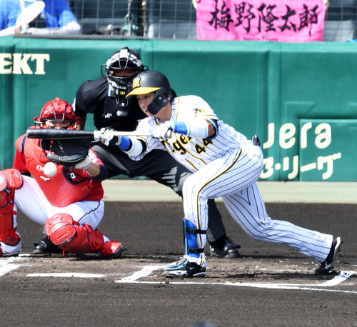 1回裏阪神無死一塁、梅野は投前犠打を決める（撮影・前岡正明）