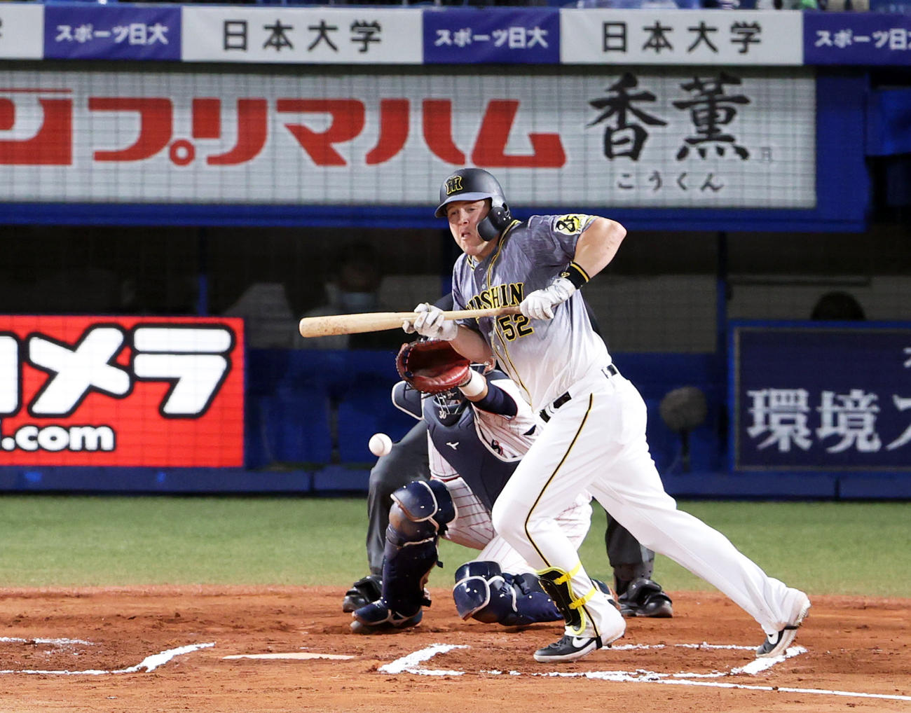 6回表阪神無死一塁、バントを失敗するサンズ（撮影・狩俣裕三）