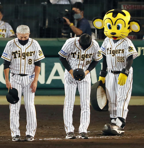 生きていた迷信 明日も勝つ の糸井に出番なく 虎だ虎だ虎になれ 野球コラム 日刊スポーツ