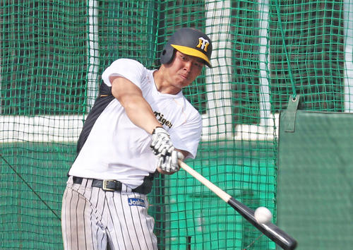 打撃練習を行う佐藤輝明（撮影・加藤哉）