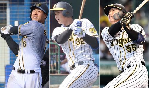 左から阪神佐藤輝明、井上、陽川