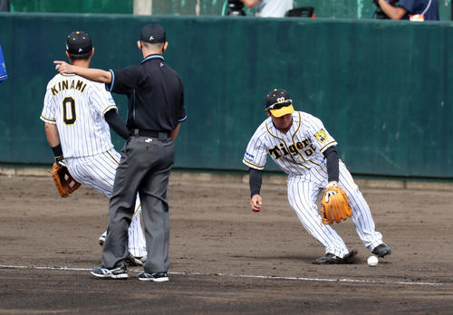 阪神対DeNA　4回表DeNA無死、三塁手の山本は打者田中俊の打球を触らずに見守ったが内野安打となる。左は木浪（撮影・加藤哉）