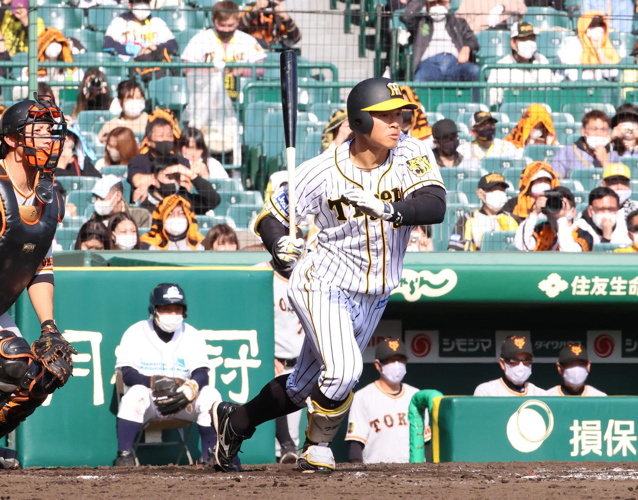 阪神対巨人　7回裏阪神無死、原監督が戦況を見守る中で右前打を放った佐藤輝明（撮影・清水貴仁）