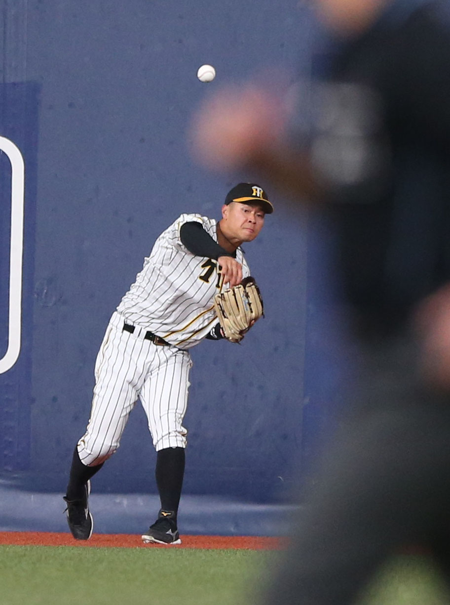 阪神対オリックス　7回表オリックス1死一塁、佐藤輝は太田椋の右翼への打球を追い、二塁中継に悪送球する（撮影・上山淳一）