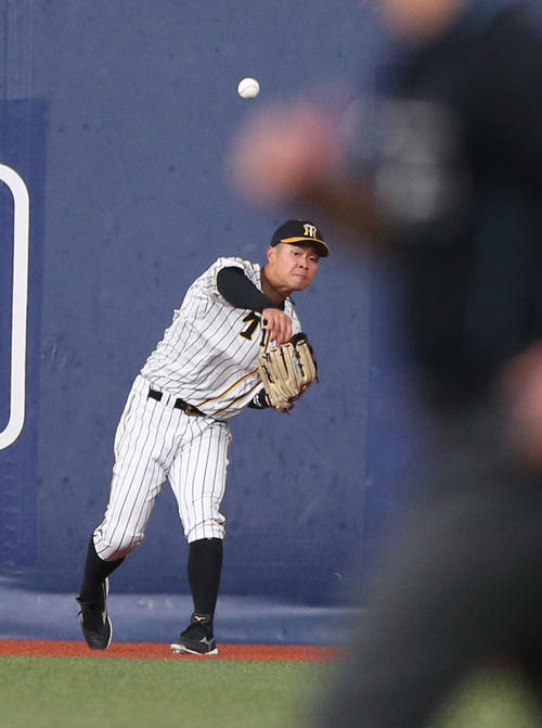 阪神対オリックス　7回表オリックス1死一塁、佐藤輝は太田椋の右翼への打球を追い、二塁中継に悪送球する（撮影・上山淳一）