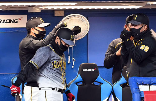 開幕戦に勝利しガッツポーズを決める阪神矢野監督（撮影・たえ見朱実）
