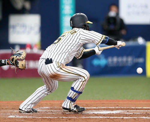 阪神対中日　7回裏阪神1死一塁、近本は三塁にセーフティーバントを決める（撮影・上山淳一）