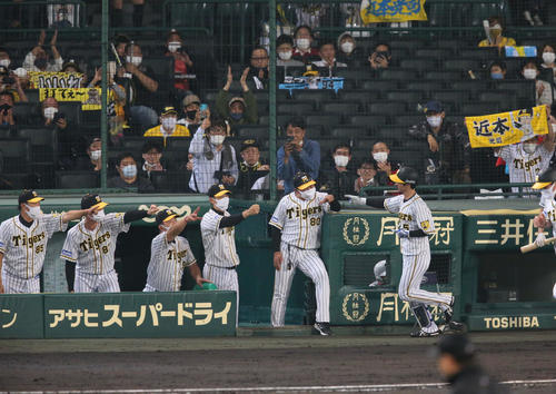 阪神対ヤクルト　5回裏阪神1死、矢野監督（左から4人目）は先制の右越え本塁打を放った近本（右）を出迎える（撮影・上山淳一）