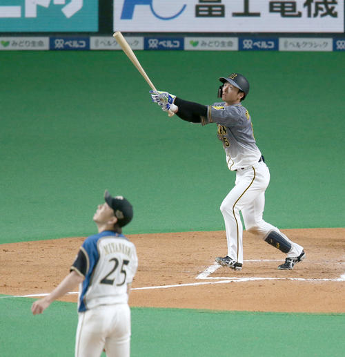 日本ハム対阪神　7回表阪神2死、近本は右越え本塁打を放つ。投手は日本ハム宮西（撮影・佐藤翔太）