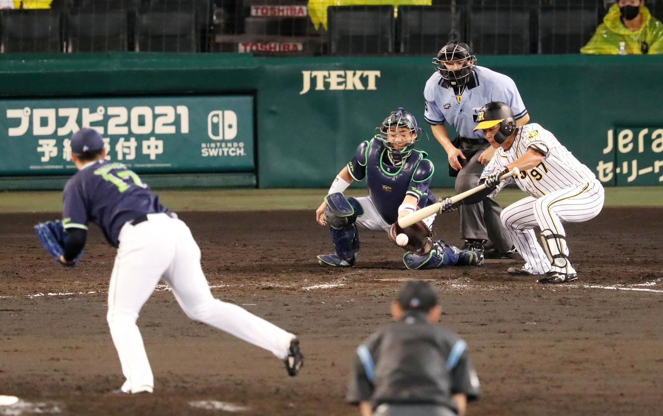 阪神対ヤクルト　8回裏阪神無死一塁、小野寺はバントするも捕ゴロ併殺となる（撮影・加藤哉）