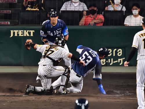 阪神対西武　9回表西武無死満塁、生還を狙うも中野拓夢の送球でアウトとなる愛斗。捕手は長坂拳弥（撮影・上田博志）