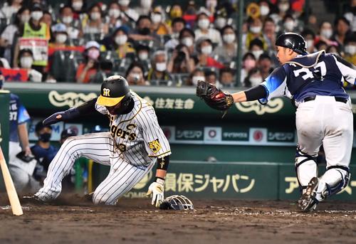 阪神対西武　5回裏阪神1死一、三塁、板山の二盗の間に本塁へ本盗する大山（撮影・上田博志）