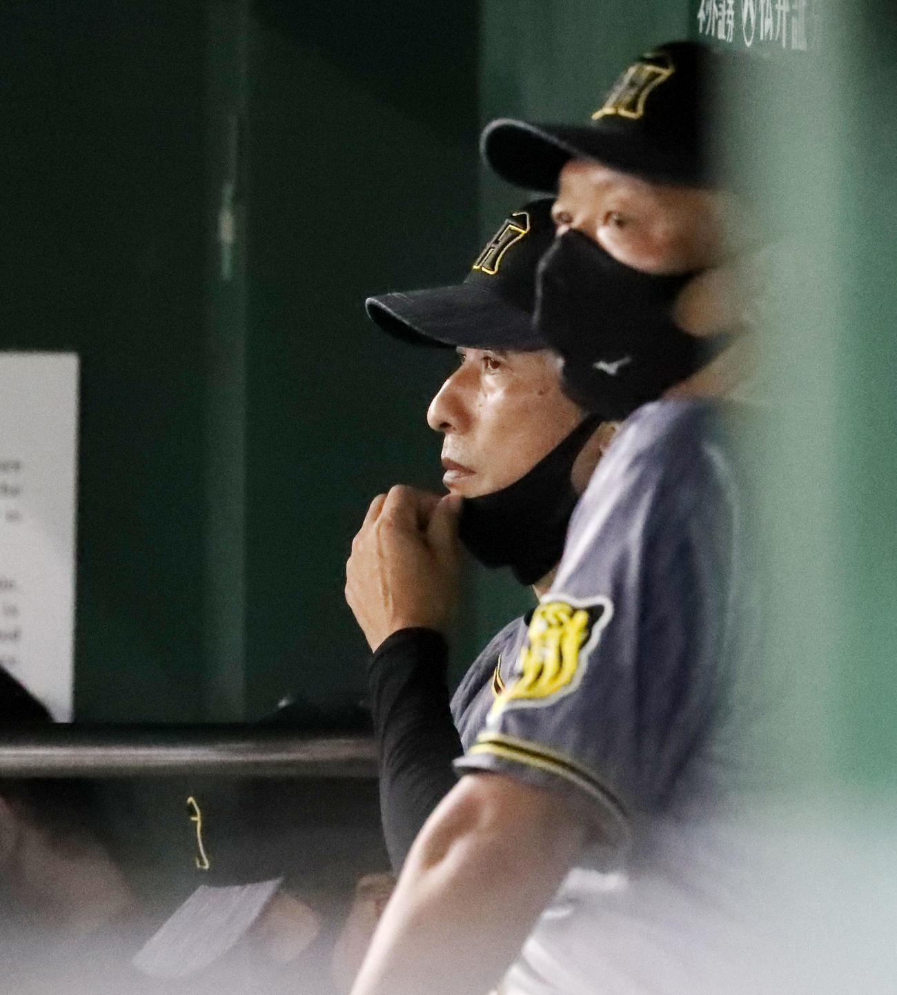 DeNA対阪神　7回裏を前にグラウンドを見つめる矢野監督（撮影・加藤哉）