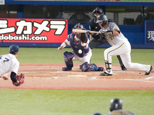 4回表阪神無死一、二塁、送りバントを試みるも失敗する小野寺（撮影・鈴木みどり）