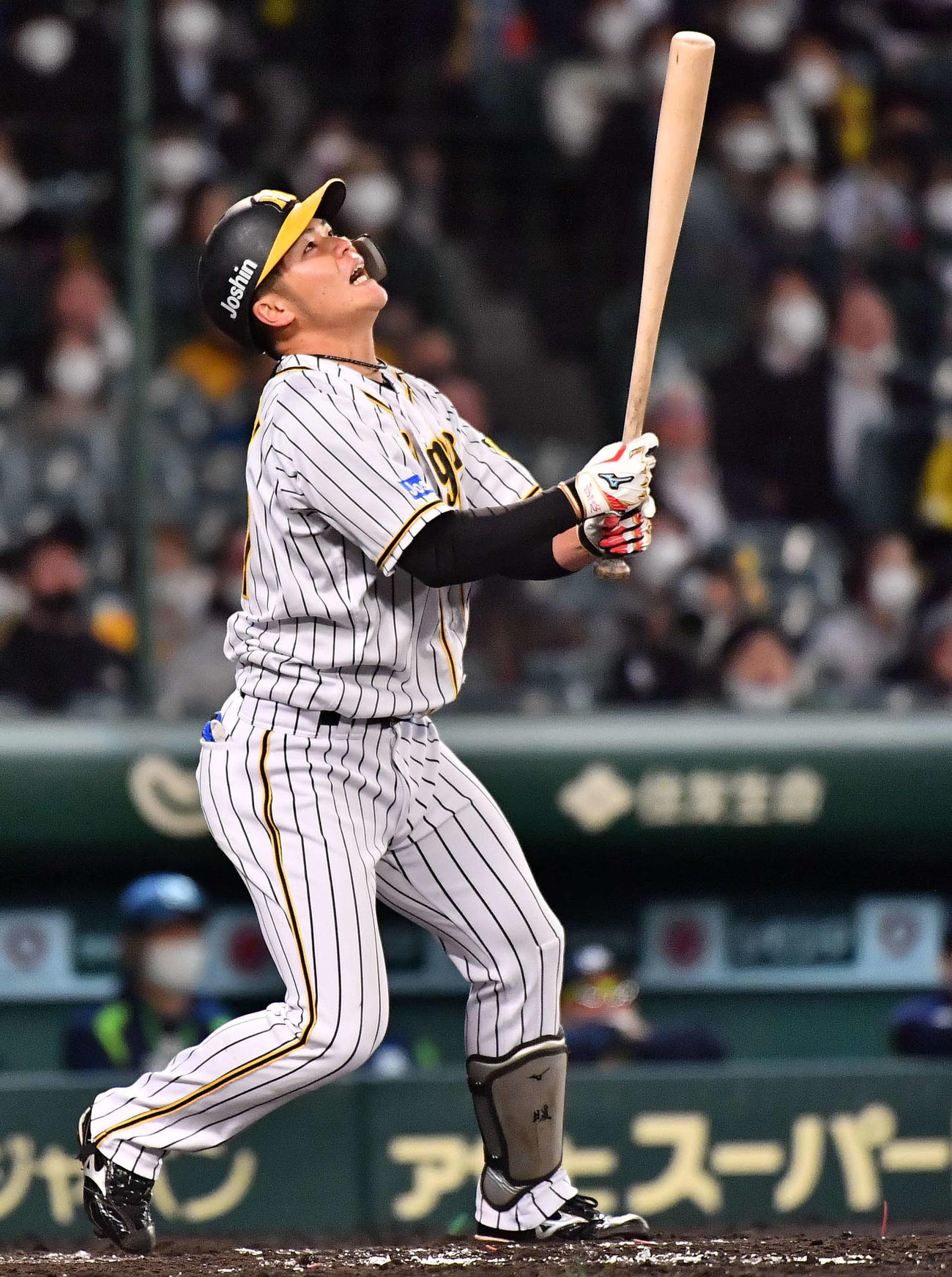 阪神対ヤクルト　5回裏阪神無死一、二塁、右飛に倒れる小野寺（撮影・上田博志）