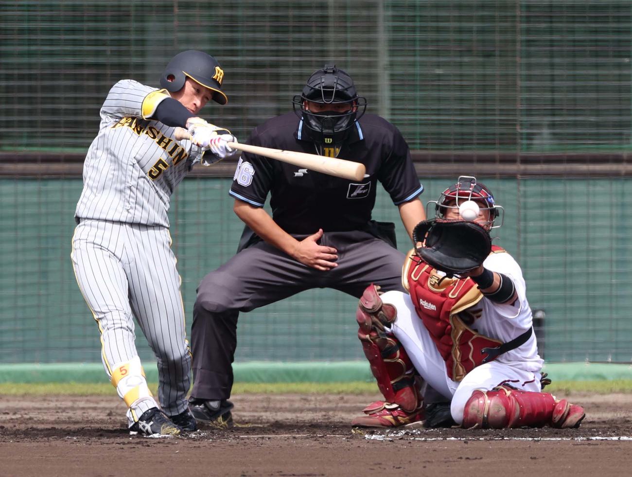 楽天対阪神　3回表阪神1死一、三塁、左前に適時打を放つ近本（撮影・上田博志）