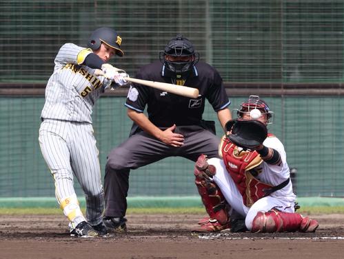 楽天対阪神　3回表阪神1死一、三塁、左前に適時打を放つ近本（撮影・上田博志）