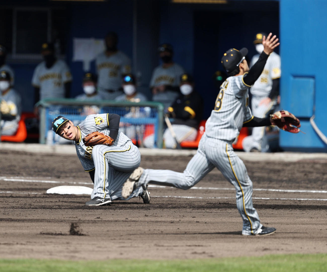 ヤクルト対阪神　6回裏ヤクルト2死一塁、佐藤輝は中村の打球をエラーする（撮影・加藤哉）