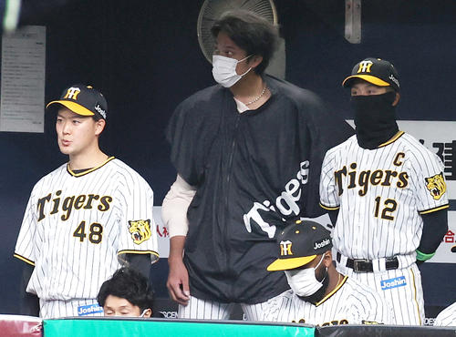 阪神対ヤクルト　8回、ベンチから試合を見る藤浪（中央）ら（撮影・上山淳一）