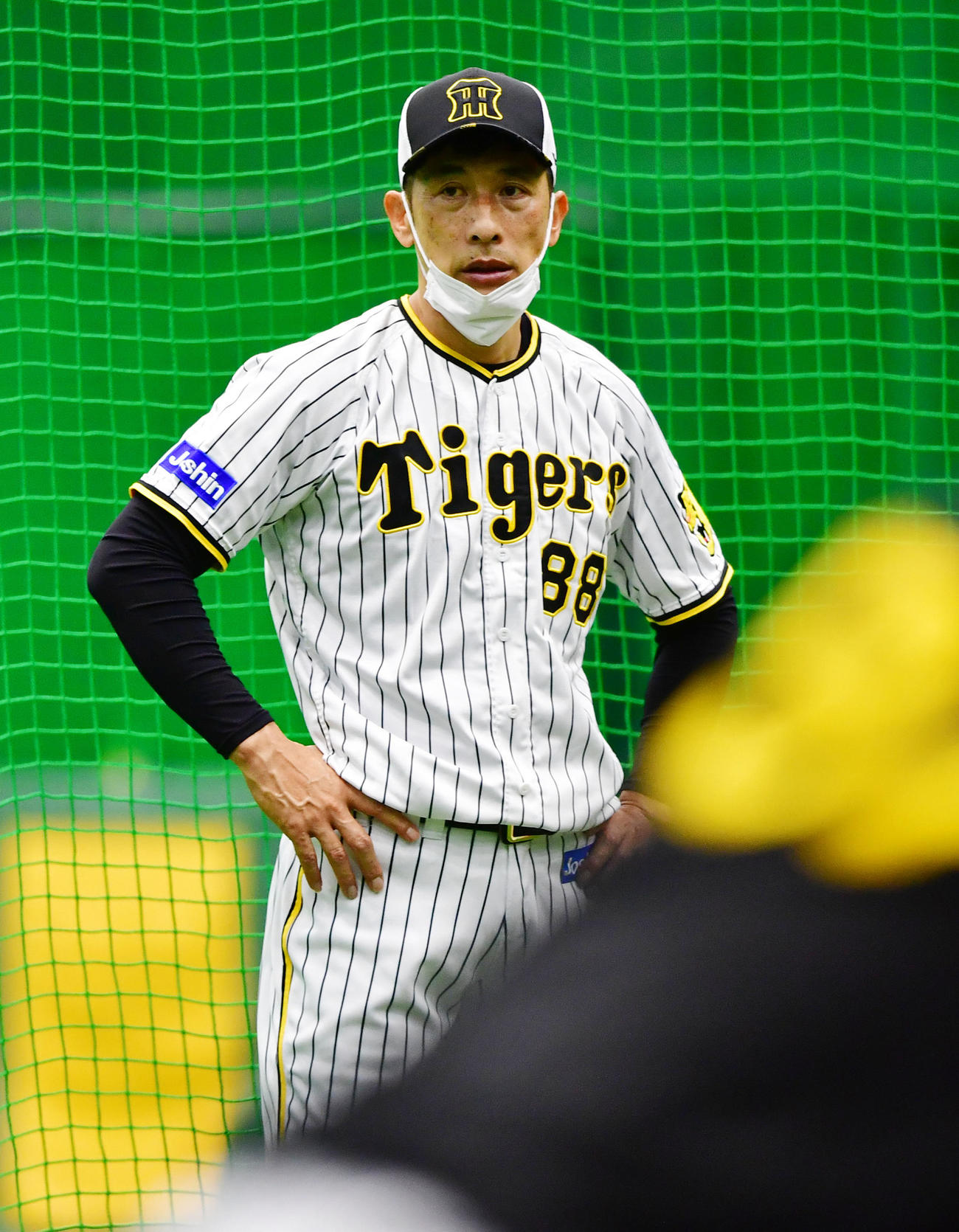 阪神矢野燿大監督（2022年6月15日撮影）