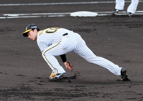 阪神対DeNA 1回表DeNA1死一塁、山本は佐野の打球をエラーする（撮影・加藤哉）