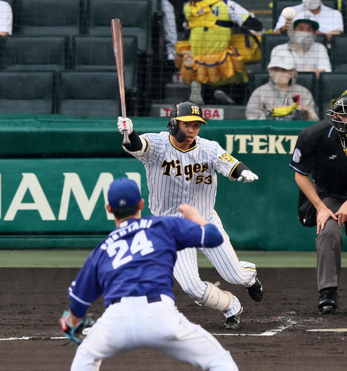 阪神対中日　1回裏阪神1死、島田は中前打を放つ。投手は福谷（撮影・加藤哉）