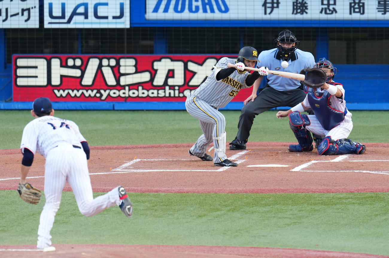 ヤクルト対阪神　1回表阪神無死一塁、投犠打を決める島田。投手高梨（撮影・横山健太）