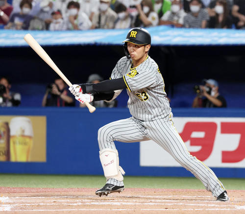 ヤクルト対阪神　7回表阪神1死満塁、島田は左前適時打を放つ（撮影・加藤哉）