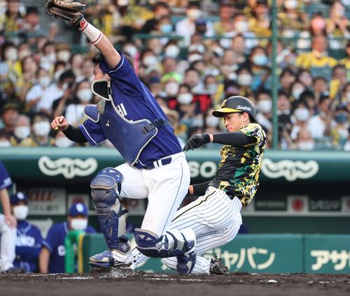 阪神対中日　1回裏阪神1死一、三塁、近本はダブルスチールの成功で生還する（撮影・上田博志）